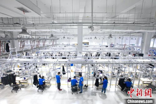 阿里動物園新成員 杭州余杭誕生的數(shù)字技術(shù)智能服裝制造企業(yè)